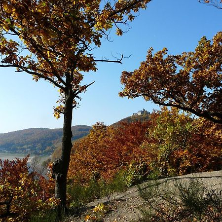 Belvedere - Das Bio Hotel Garni & Suitehotel Am Edersee ! Unser Geschenk Fuer Sie, Auch Die Gaestecard Grimmheimat! Waldeck  Dış mekan fotoğraf